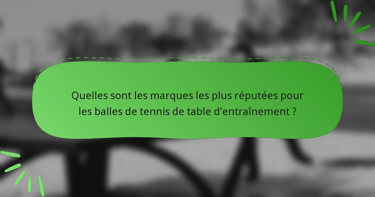 Quelles sont les marques les plus réputées pour les balles de tennis de table d'entraînement ?